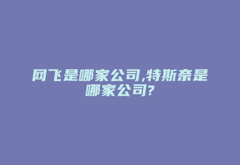 网飞是哪家公司,特斯奈是哪家公司?-加密狗复制网