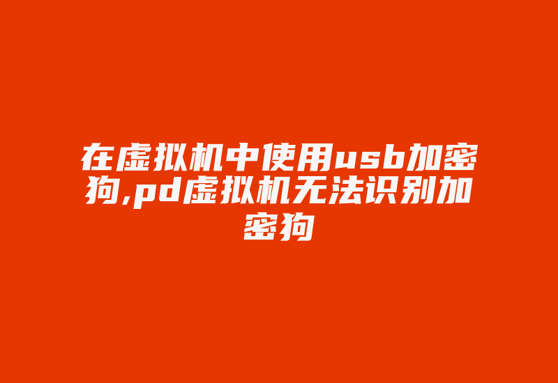 在虚拟机中使用usb加密狗,pd虚拟机无法识别加密狗-加密狗复制网