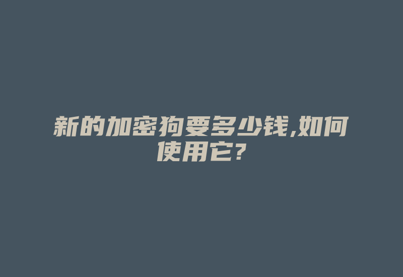 新的加密狗要多少钱,如何使用它?-加密狗复制网