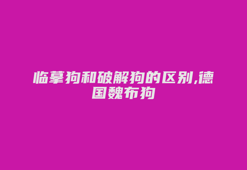 临摹狗和破解狗的区别,德国魏布狗-加密狗复制网