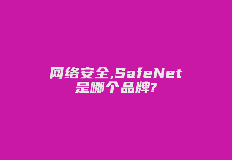 网络安全,SafeNet是哪个品牌?-加密狗复制网