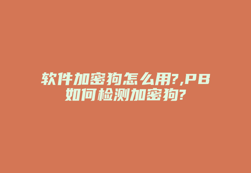 软件加密狗怎么用?,PB如何检测加密狗?-加密狗复制网