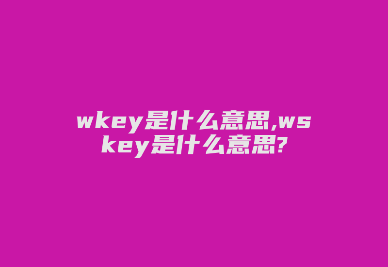 wkey是什么意思,wskey是什么意思?-加密狗复制网