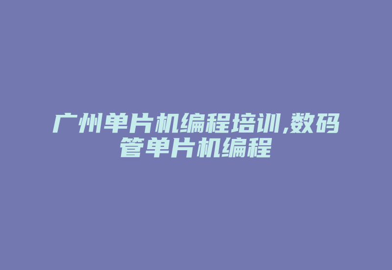 广州单片机编程培训,数码管单片机编程-加密狗复制网