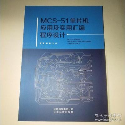 关于51单片机汇编语言程序,MCS-51设计数字温度计-加密狗复制网