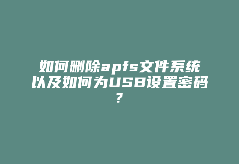 如何删除apfs文件系统以及如何为USB设置密码?-加密狗复制网