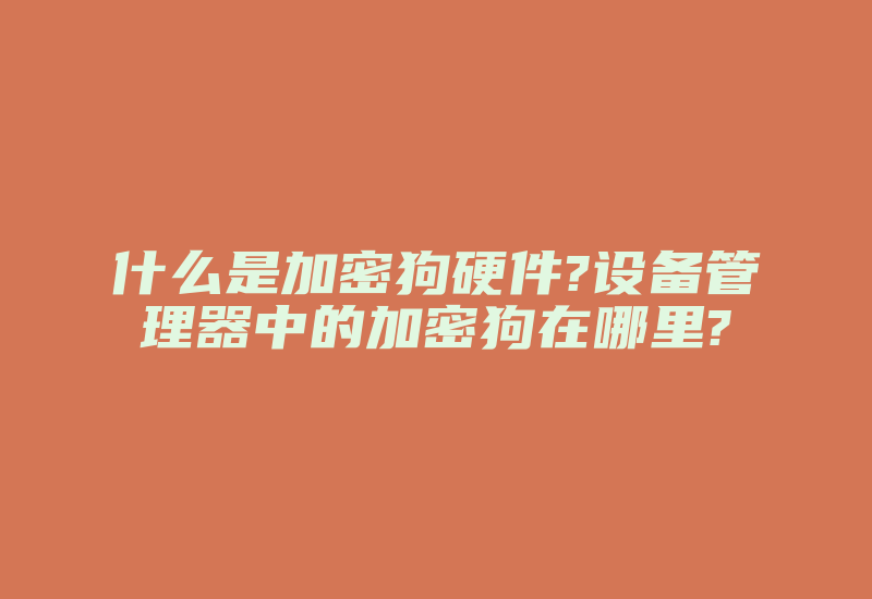 什么是加密狗硬件?设备管理器中的加密狗在哪里?-加密狗复制网