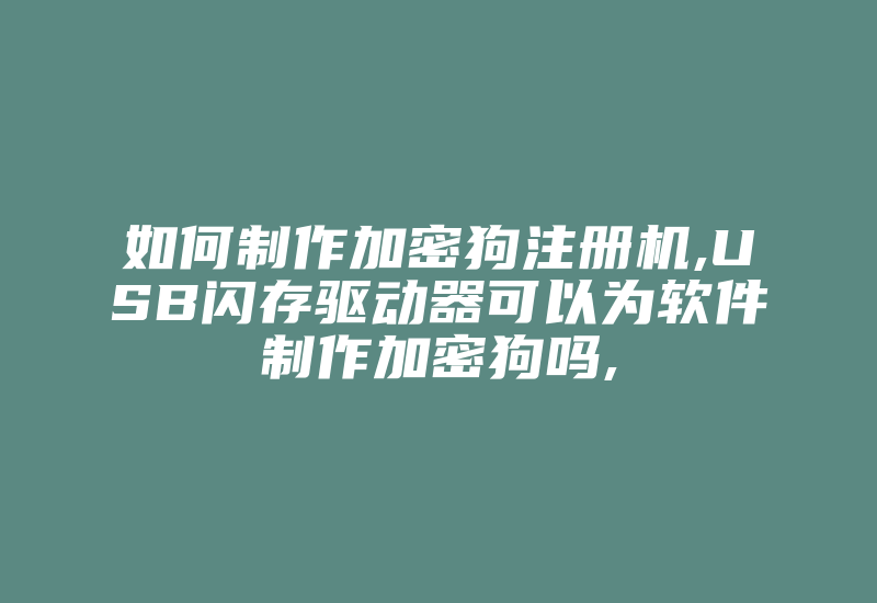 如何制作加密狗注册机,USB闪存驱动器可以为软件制作加密狗吗,-加密狗复制网