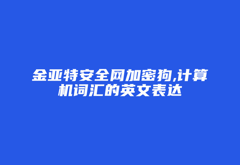 金亚特安全网加密狗,计算机词汇的英文表达-加密狗复制网