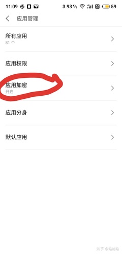 如何解锁应用程序加密以及如何取消应用程序加密-加密狗复制网