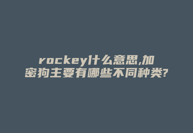 rockey什么意思,加密狗主要有哪些不同种类?-加密狗复制网