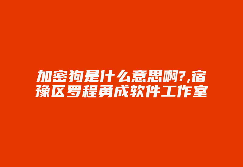 加密狗是什么意思啊?,宿豫区罗程勇成软件工作室-加密狗复制网