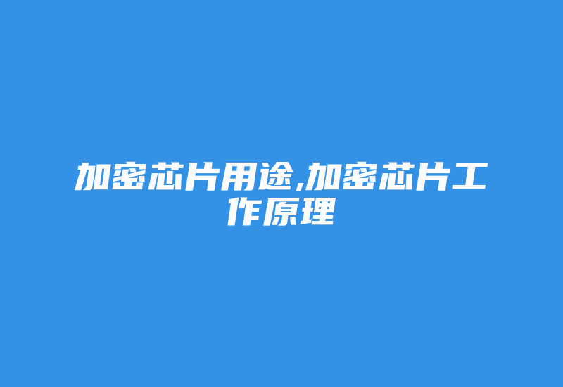 加密芯片用途,加密芯片工作原理-加密狗复制网