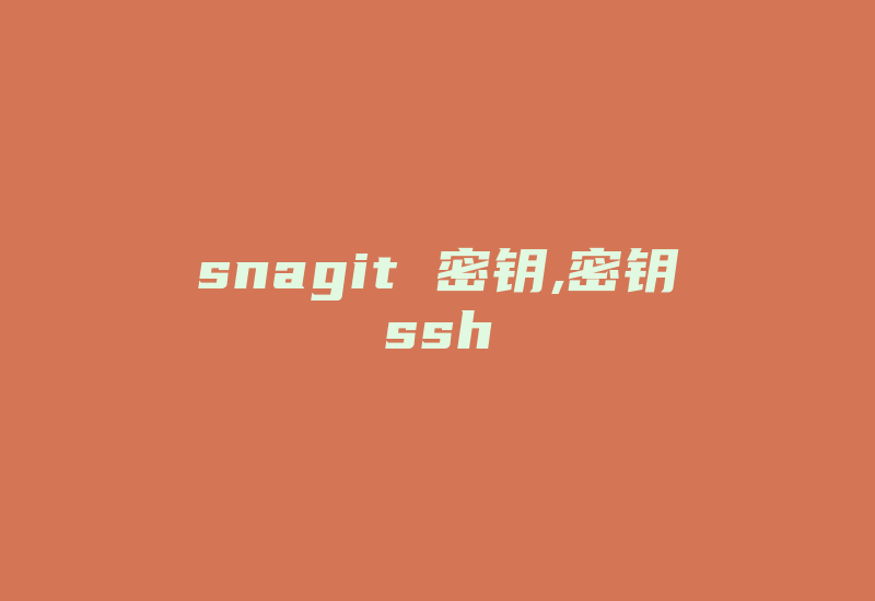 snagit 密钥,密钥ssh-加密狗复制网