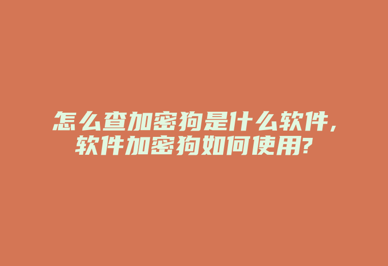 怎么查加密狗是什么软件,软件加密狗如何使用?-加密狗复制网