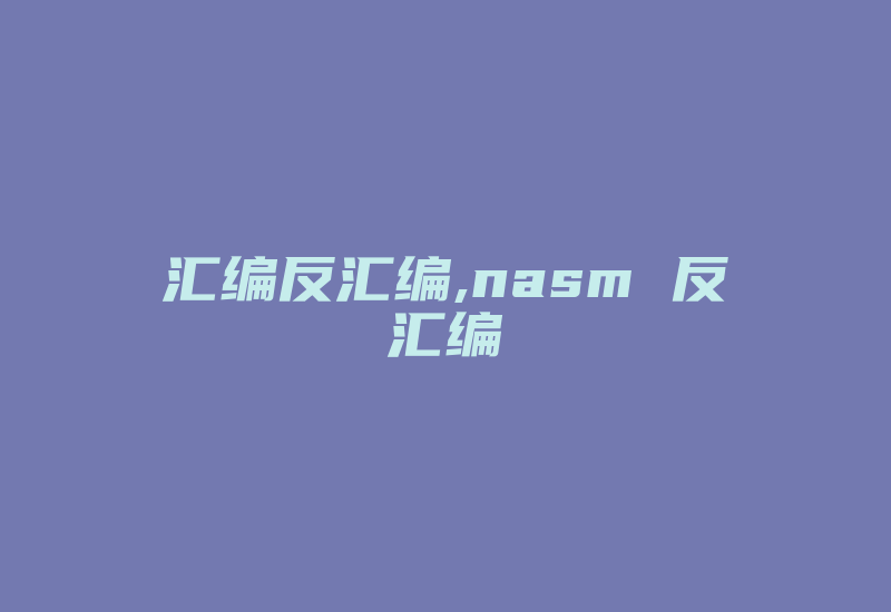 汇编反汇编,nasm 反汇编-加密狗复制网